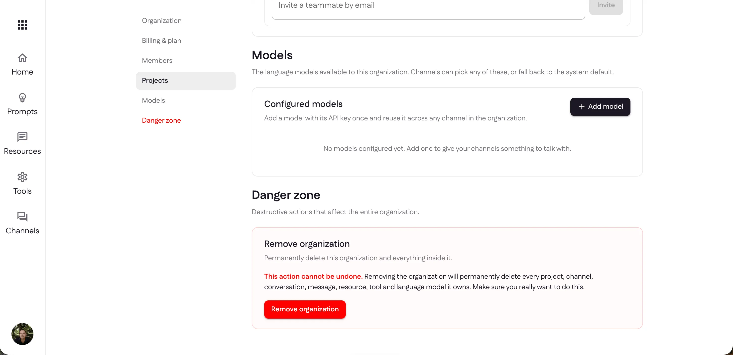 The Danger zone with the Remove organization action and its permanent-delete warning